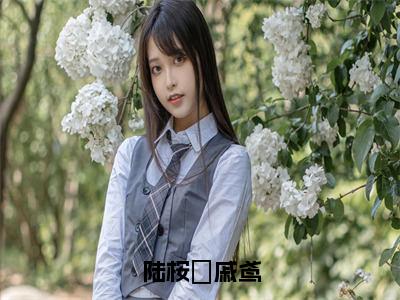 陆桉璟戚鸢（戚鸢陆桉璟）多人推荐-戚鸢陆桉璟陆桉璟戚鸢好看的小说完整版全文