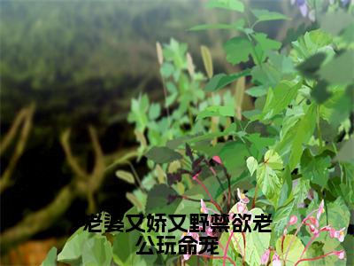 老婆又娇又野禁欲老公玩命宠（顾墨辰姜薇）小说全文免费阅读无弹窗_（顾墨辰姜薇）最新章节列表_笔趣阁