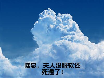 陆总，夫人没服软还死遁了！（陆铮沈沐漓）全文免费阅读_陆铮沈沐漓正版小说全文阅读