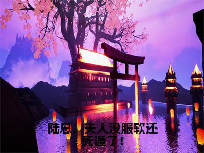 ﻿陆铮沈沐漓（陆总，夫人没服软还死遁了！）全文免费阅读无弹窗大结局_（陆铮沈沐漓）最新章节列表_笔趣阁（陆总，夫人没服软还死遁了！）