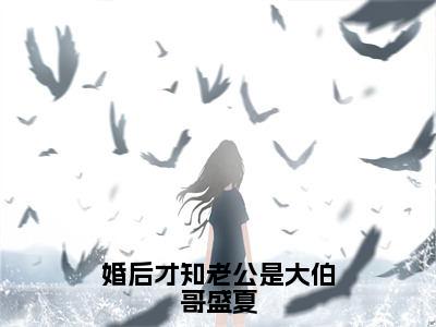 盛夏（婚后才知老公是大伯哥盛夏）全文免费阅读无弹窗大结局_盛夏最新章节列表