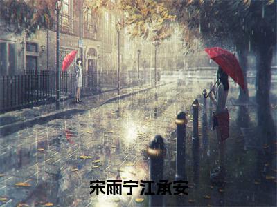 江承安宋雨宁免费阅读无弹窗大结局，宋雨宁江承安（最新全章节）全文阅读免费阅读-笔趣阁