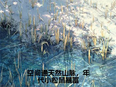 空间通天然山脉，年代小松鼠暴富（叶舒）全文免费阅读无弹窗大结局_空间通天然山脉，年代小松鼠暴富免费阅读无弹窗