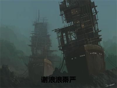 谢浪浪秦严（谢浪浪秦严）全文免费阅读无弹窗大结局_谢浪浪秦严全文在线阅读