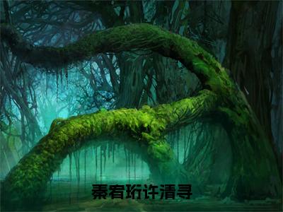 秦宥珩许清寻（许清寻秦宥珩）全文免费阅读_（许清寻秦宥珩）最新章节小说免费阅读（秦宥珩许清寻）