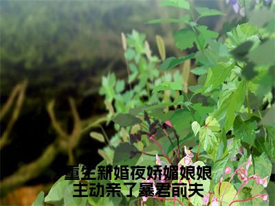 顾定方辛怡小说完整版阅读-（重生新婚夜娇媚娘娘主动亲了暴君前夫）小说全文免费阅读