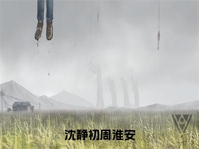 小说《沈静初周淮安》全文免费阅读无弹窗-周淮安沈静初小说全文在线赏析_笔趣阁