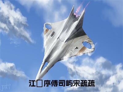 宋疏疏江璟序傅司屿全文免费阅读无弹窗大结局_江璟序傅司屿宋疏疏章节列表_笔趣阁