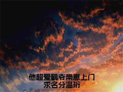 他超爱鹤爷带崽上门求名分温珩（温珩苏墨菀）全文免费阅读_他超爱鹤爷带崽上门求名分温珩（温珩苏墨菀）最新章节列表笔趣阁