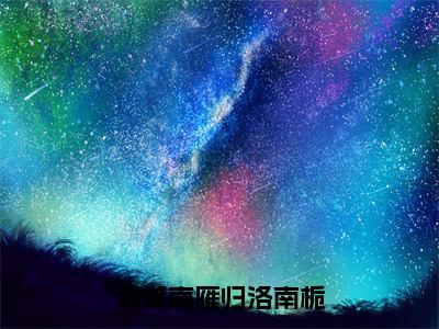 我等南雁归洛南栀（靳寒声洛南栀）在哪免费看-我等南雁归洛南栀小说（靳寒声洛南栀）全文完整版免费阅读