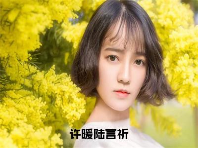 陆言祈许暖（许暖陆言祈）在线阅读小说全文无删减-许暖陆言祈小说大结局