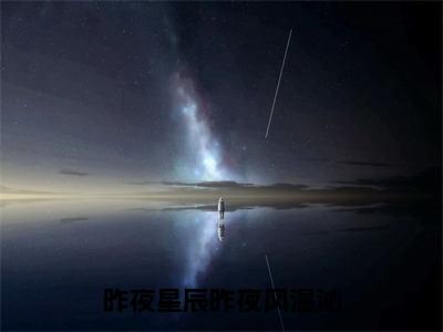 沈琰温沁（昨夜星辰昨夜风温沁）全文免费阅读无弹窗-昨夜星辰昨夜风温沁主角叫沈琰温沁的小说全章节免费阅读