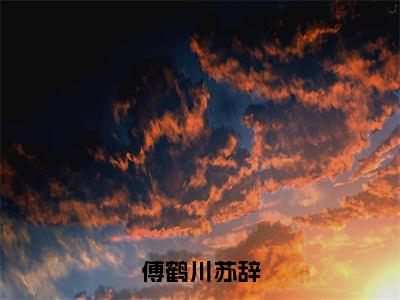 傅鹤川苏辞小说（苏辞傅鹤川）全文免费阅读-傅鹤川苏辞全文阅读无弹窗