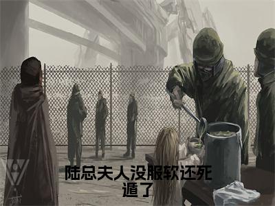 【全文】《陆铮沈沐漓》小说txt在线阅读_（陆铮沈沐漓全章节）-陆铮沈沐漓_陆总夫人没服软还死遁了在线阅读