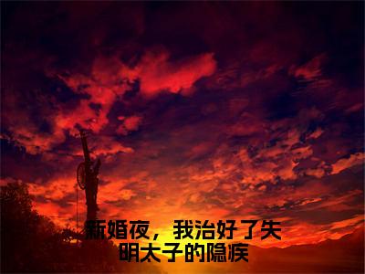 新婚夜，我治好了失明太子的隐疾小说全文免费阅读无弹窗大结局_新婚夜，我治好了失明太子的隐疾夜翊珩黎语颜最新章节列表_笔趣阁（新婚夜，我治好了失明太子的隐疾）