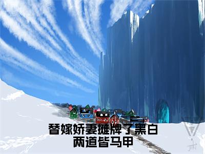 替嫁娇妻摊牌了黑白两道皆马甲精彩小说赏析全文秦焱陆雪漫热门小说免费阅读