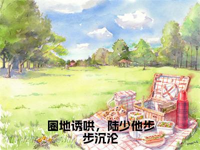 【新书】《圈地诱哄，陆少他步步沉沦》全文免费阅读无弹窗大结局-楚婠轻陆聿沉全文全章节免费阅读