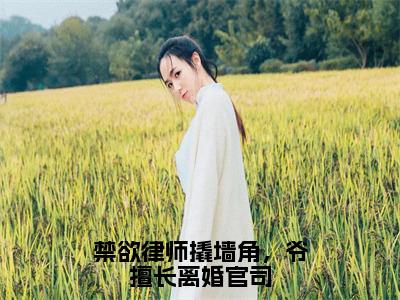 禁欲律师撬墙角，爷擅长离婚官司精彩章节免费阅读_（姜满季琛）禁欲律师撬墙角，爷擅长离婚官司抖音热推小说最新章节阅读